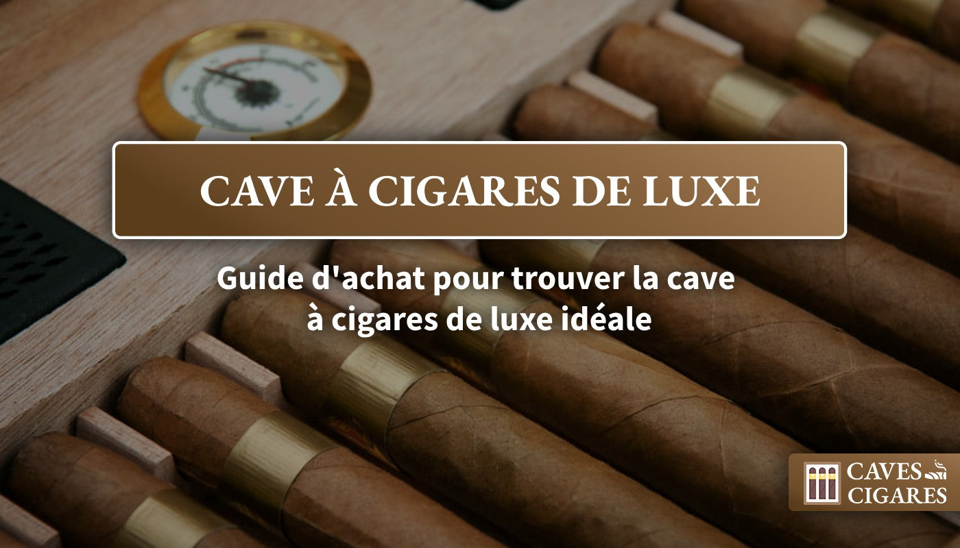 cave à cigares, cave à cigare de luxe, cave à cigares moderne, conseils pour acheter cave à cigare de luxe, 