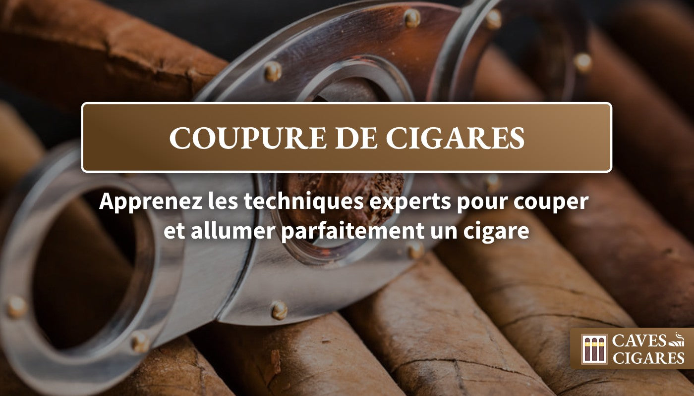 Cigares, fumer cigares, préparer cigare, couper cigares facilement, apprendre à couper cigare