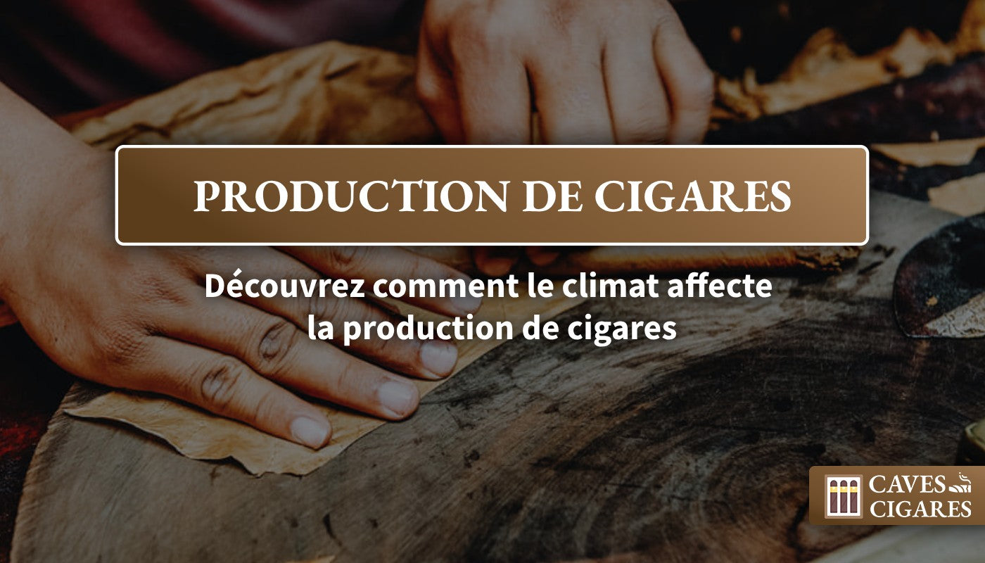 Cigares, production de cigares, fabrication de cigares, production de cigares et climat