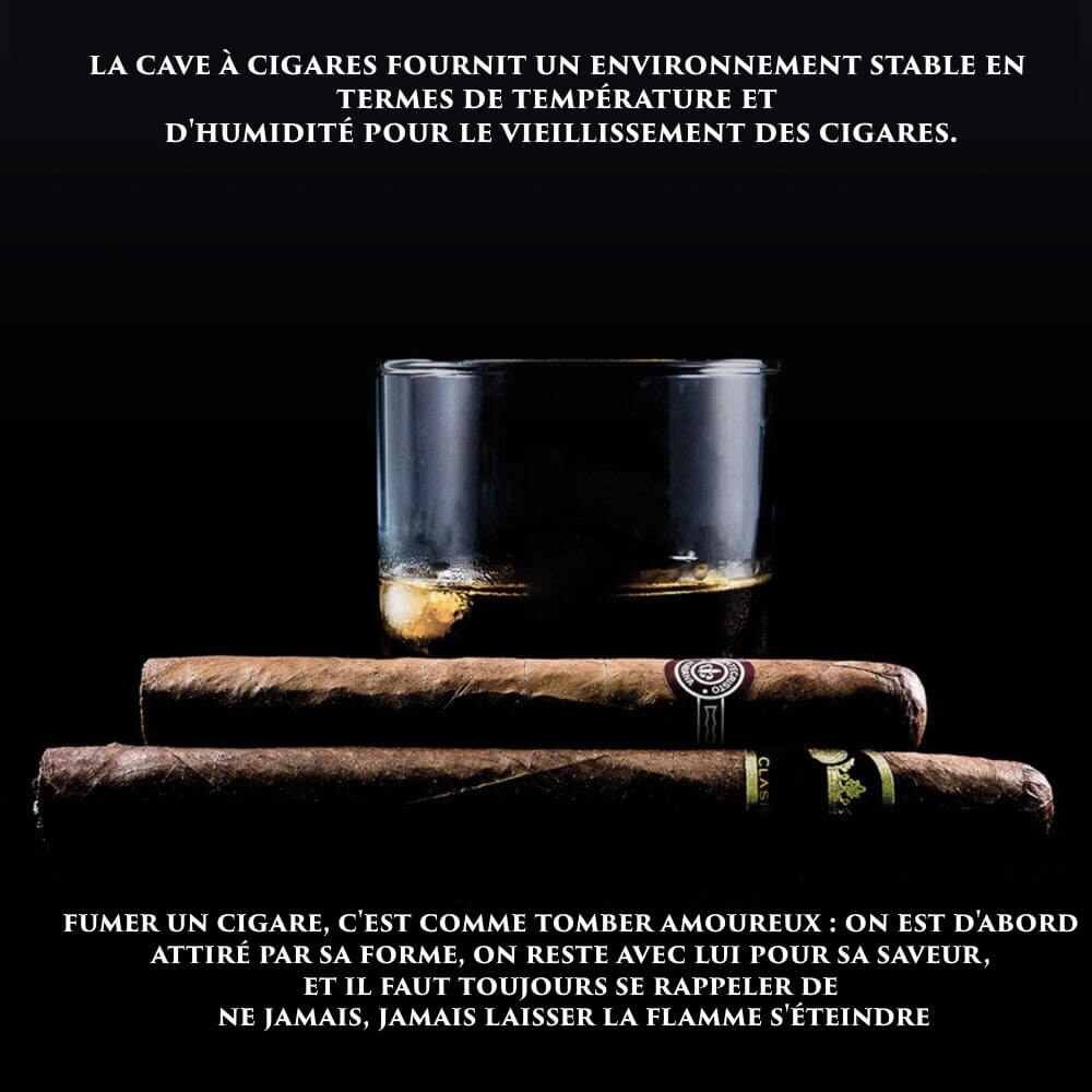 Cave à Cigare Électrique pour Vin et Cigares Haut de Gamme