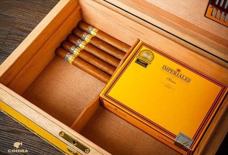 Cave à Cigares Cohiba de Luxe avec Humidificateur